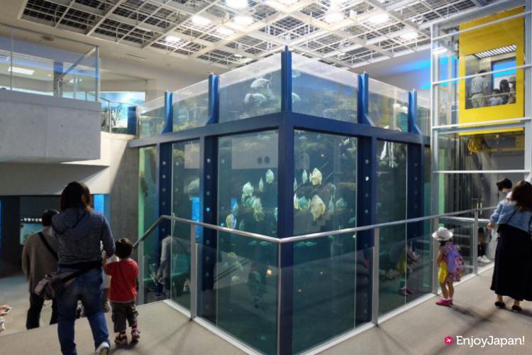 키노사키 마린월드 sea zoo 일본에서 가장 깊은 수조