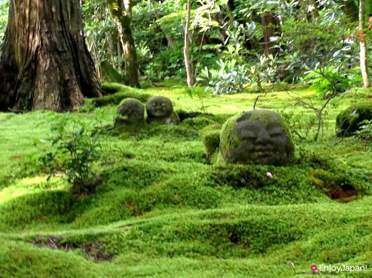 오오하라 산젠인 정원의 와라베지조