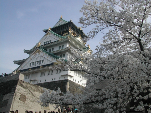 오사카성의 벚꽃