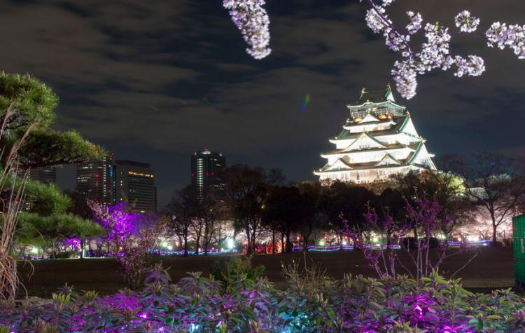 오사카성 벚꽃놀이・YOZAKURA Illuminage