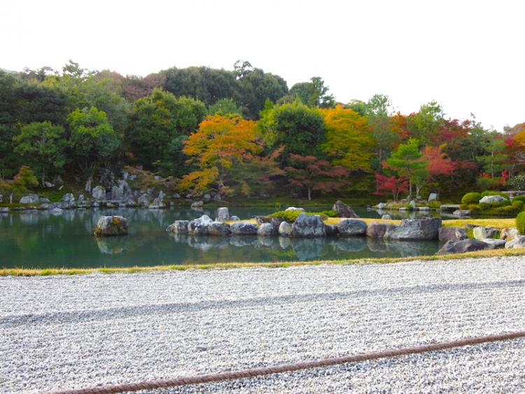 정원의 단풍은 명품! 아름다운 사가・아라시야마의 세계유산 